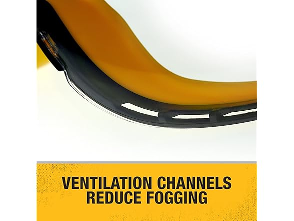 Dewalt DPG82-11C Clear Safety Goggle