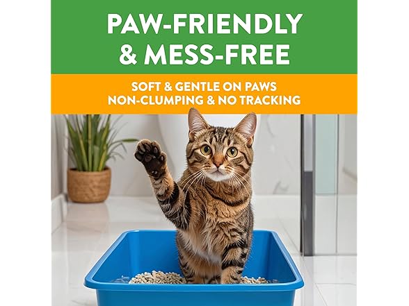 Feline Pine Platinum Non-Clumping Cat Litter