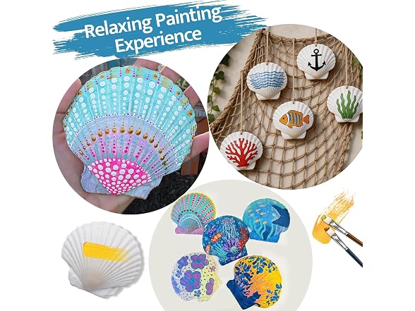 SINKOO 16PCS Natural Scallop Shells 3"-3.5"