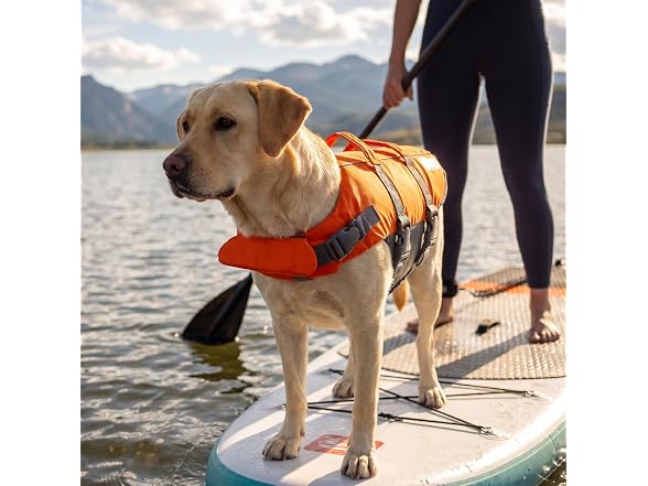 Outward Hound Granby Splash Dog Life Jacket, Life