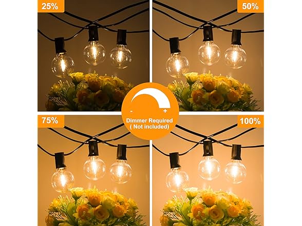 Bosceos 25FT Outdoor G40 LED String Lights