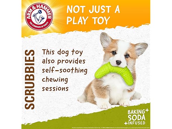 Arm & Hammer Scrubbies Boomerang Dental Chew Toy