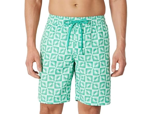 AE Mens 9in QuickDry Swim Trunk (Olive)