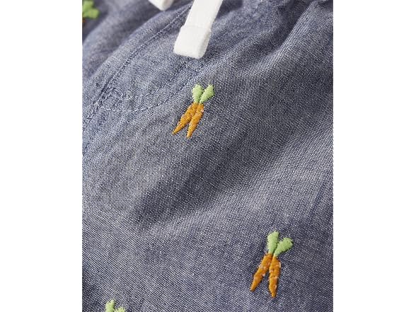 Gymboree Boys (3T) Toddler Embroidered Shorts