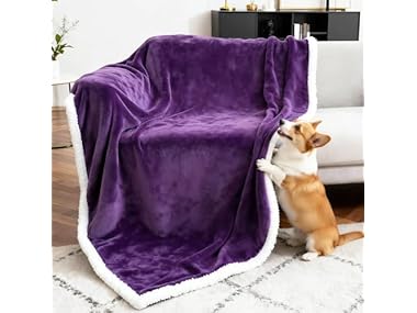 $12.99 BoxZone Waterproof Dog Blanket- Purple White dealfomo