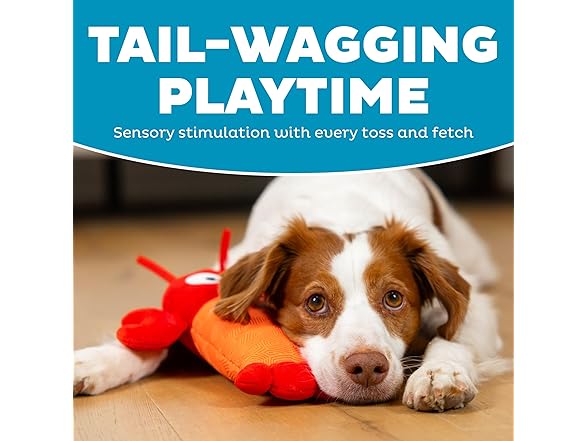 Outward Hound Coated Critterz Dog Toy – Plush