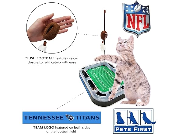 Pets First NFL BALTIMORE RAVENS FOOTBALL FIELD