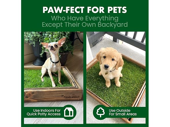 Fresh Patch Real Grass Patch for Dogs, Cats,