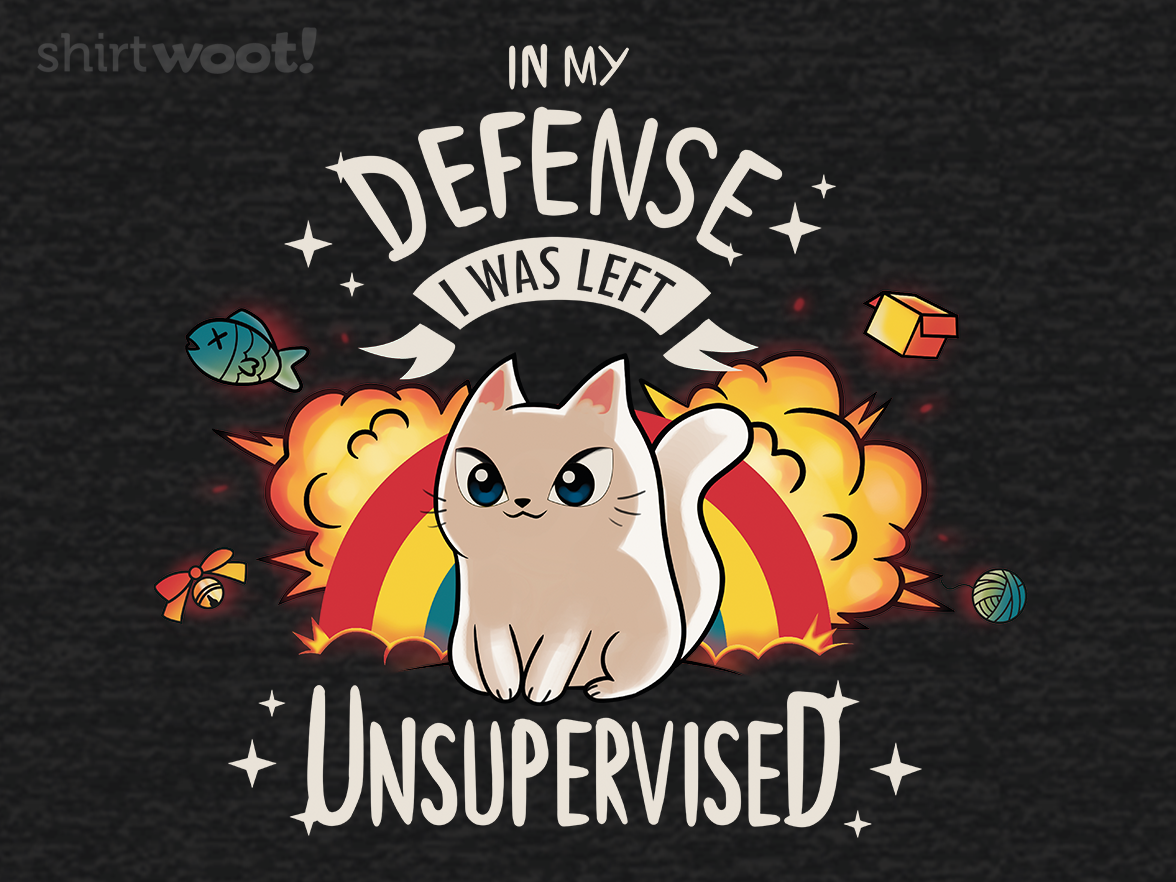 I Was Left Unsupervised Remix - Gallery 4
