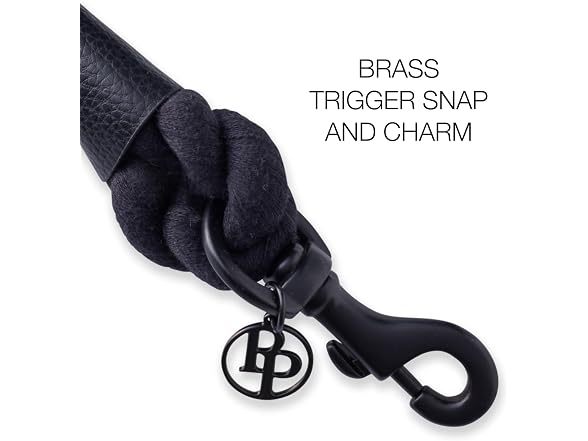 Pet Passion Rowan - The Twisted Rope Training Dog Leash - Gallery 6
