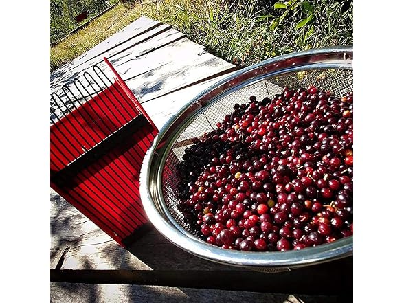 banapoy CON-28 Blueberry Picker