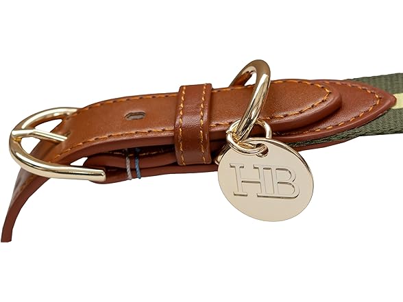 Harry Barker Green Pieced Stripe Buckle Collar