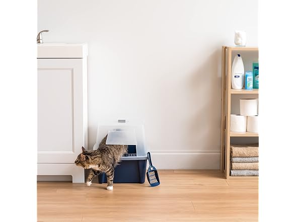 IRIS USA Large Front Door Cat Litter Box, Wa