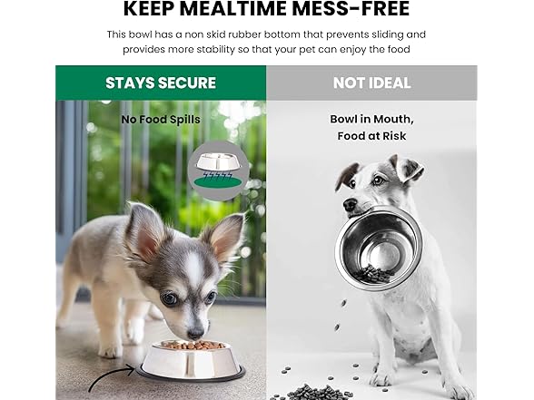 ICONIC PET 8 oz, 1 Cup SS Non Skid Pet Bowl