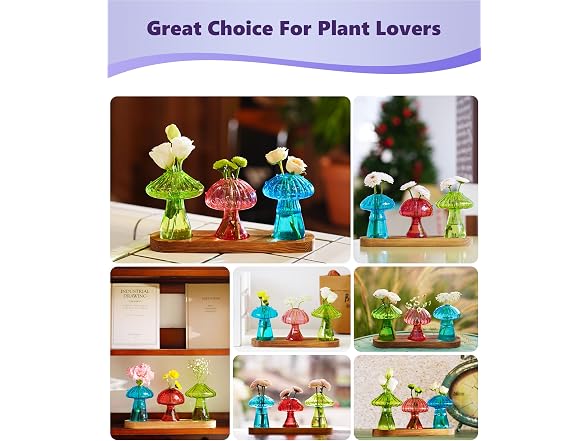 6 Pack Mushroom Glass Propagation Vases