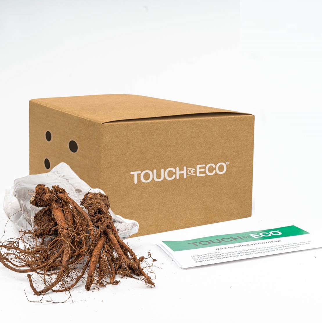 Large Plume Astilbe Mix - 9 Bulbs - Gallery 8