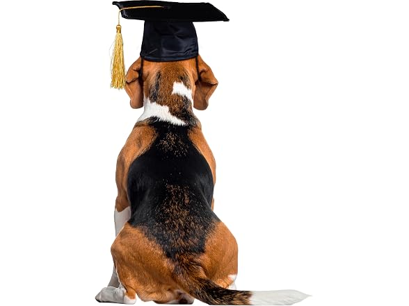 Rubies Graduate Pet Hat for Dogs or Cats, S/M