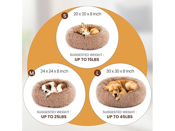 FITION Dog & Cat Bed for Indoor Cats Calming Bed