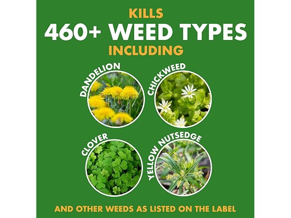 Spectracide Weed Stop for Lawns Concentrate, 32 Ounce, 6 Pack