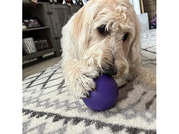 SimpleDog Doggie Dooley Ball Heavy Duty Dog Ball