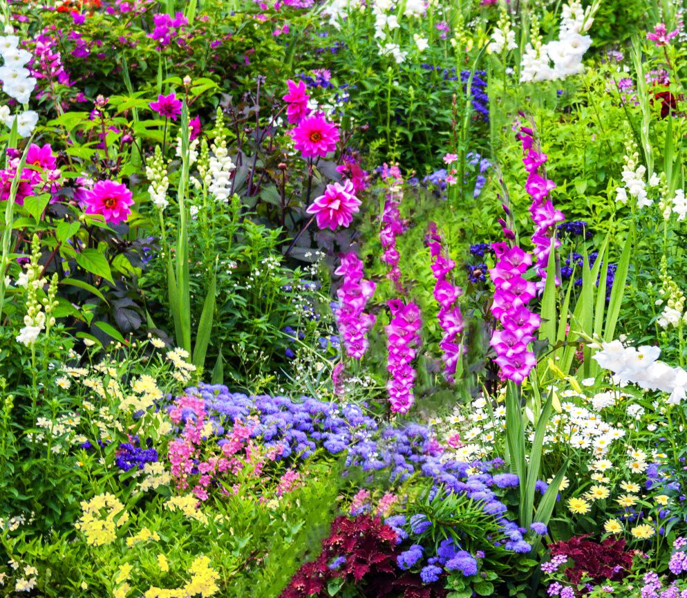 Bees & Butterfly Collection (100 Bulbs) - Gallery 10