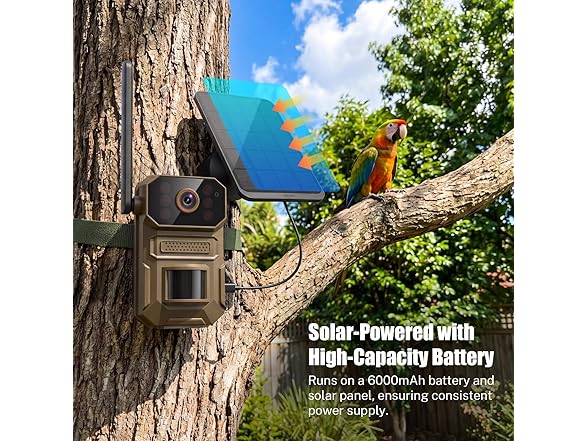 ClipBlur 4G Trail Camera