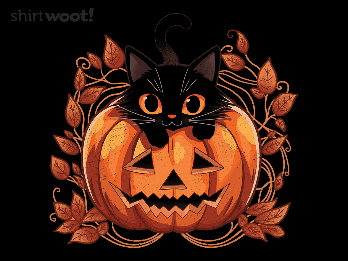 Pumpkin Paws - Gallery 4