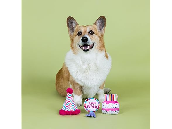 CAN I GET A WOOF-WOOF! Plush Dog Toy Set