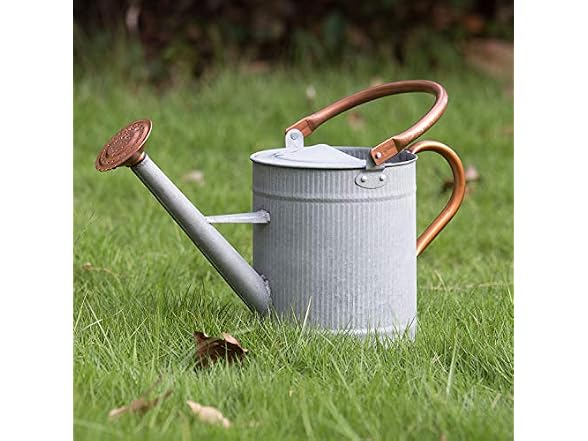 HORTICAN 1 Gallon Metal Watering Can