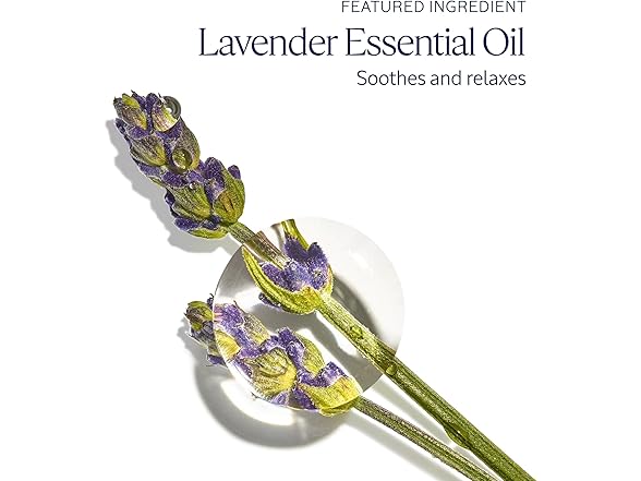 (2 Pack) L'Occitane Lavender Hand Cream, 2.6 oz