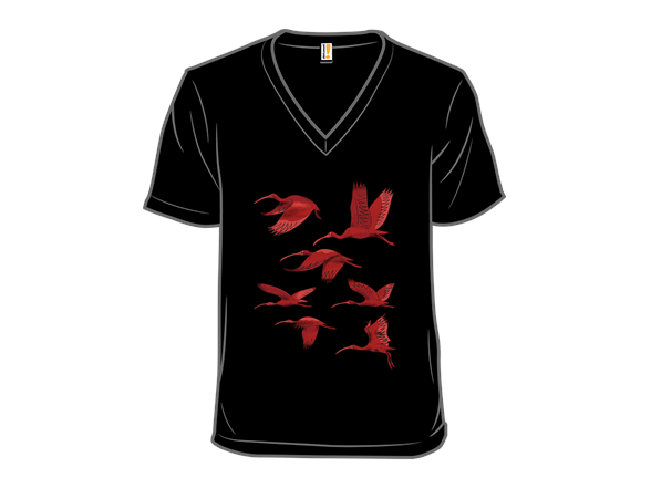 Flock of Flamingos