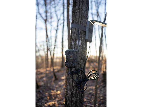 Stealth Cam Fusion Max 2.0 Cellular Trail Solpak
