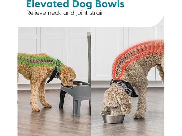 IRIS USA Elevated Dog Bowls Adjustable Stand