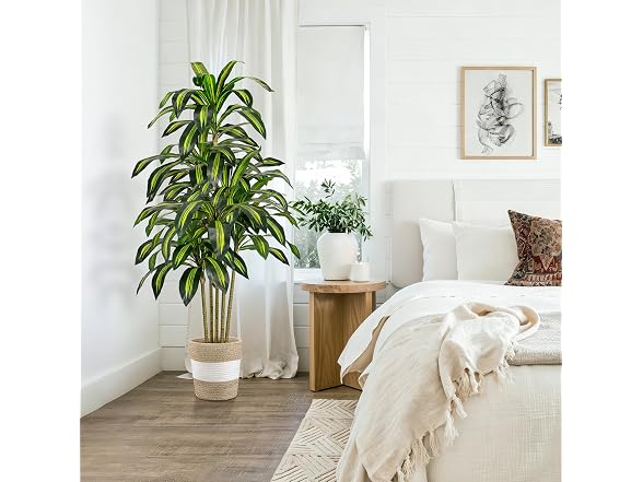 LuceAlberi 5FT Artificial Dracaena Tree