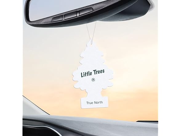 LITTLE TREES Car Air Freshener, 24 Count