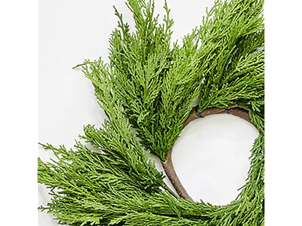 Worth Imports 19" Artificial Christmas Cypress Centerpiece Wreath - Gallery 2
