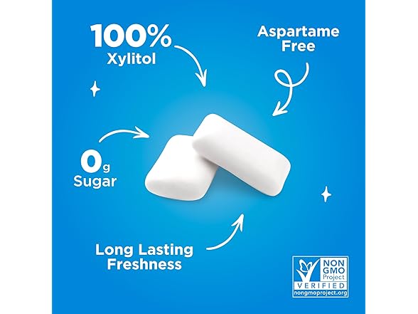 PUR Peppermint Gum 55ct