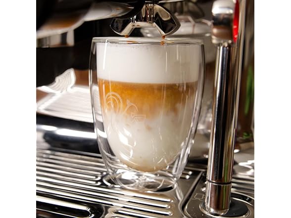 Coffeeness Double Wall Coffee Cups