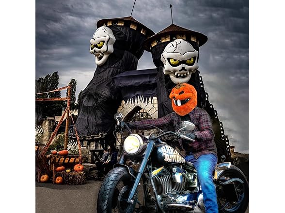 GLAHORSE Motorcycle Helmet Cover