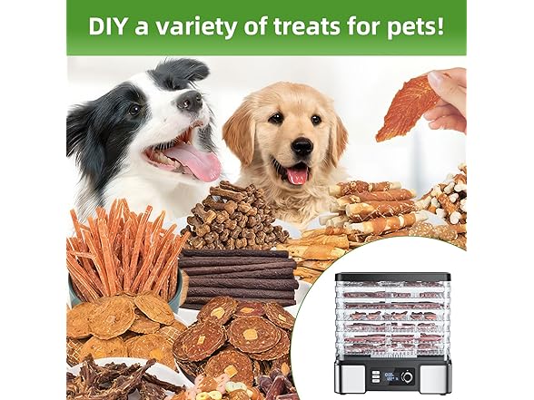 Food Dehydrator Machine Dryer