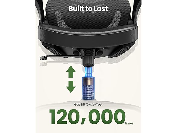 Totnz Ergonomic Office Chair w/Mesh Back