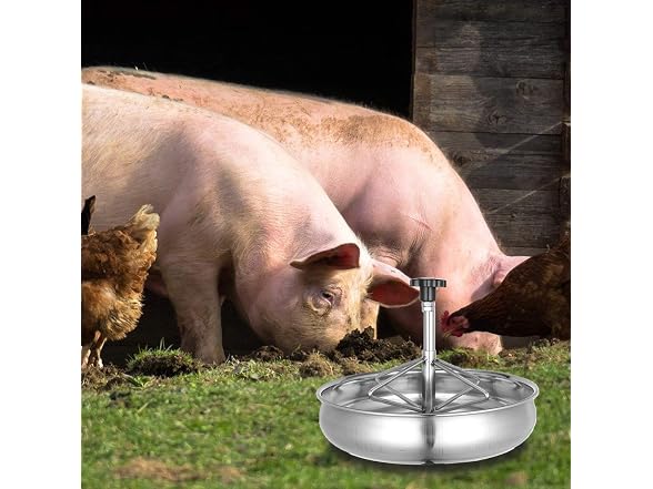 YARNOW Pig Feeder Stainless Steel Pig Feeding Bowl