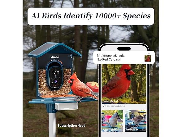 Bird Feeder with Camera