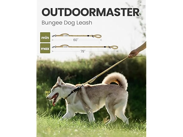 OutdoorMaster Bungee Dog Leash