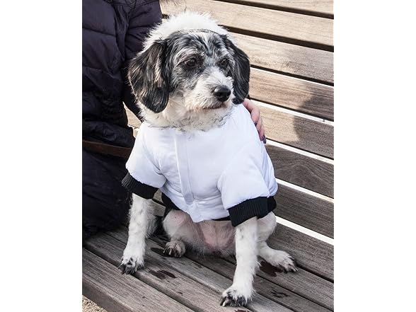 Pet Life ® Aspen Winter White Dog Coat