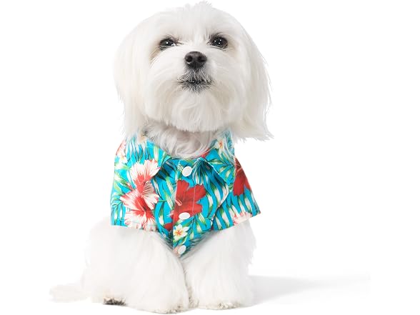 United Pups Hawaiian Shirt for Dogs Small to