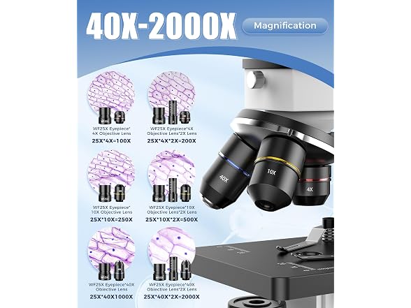 PalliPartners Compound Microscope