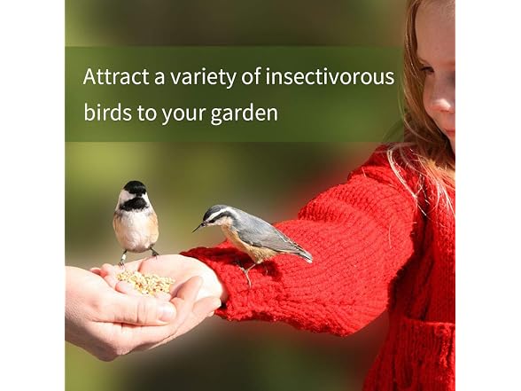 DIIG Non-GMO Dried Mealworms - Treats for Birds