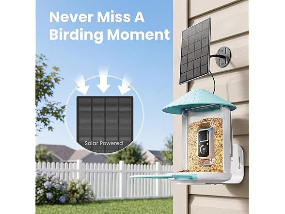 Birdfy BF1 feeder gift set
