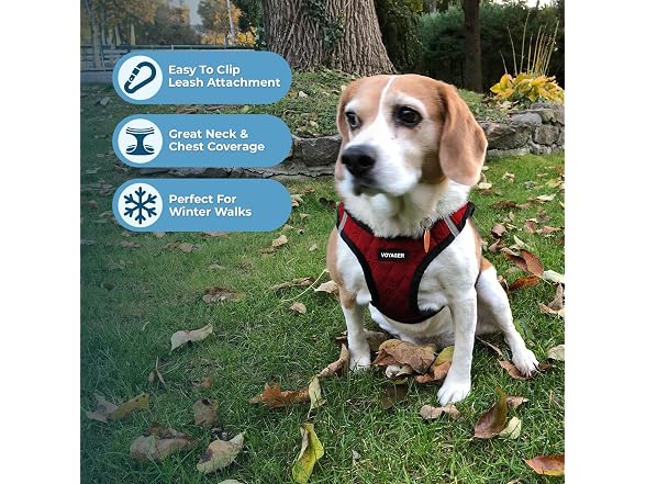 Best Pet Supplies Red Plush, S